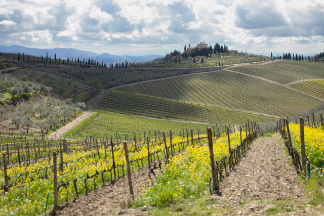 Rediscovering the Wines of Tuscany